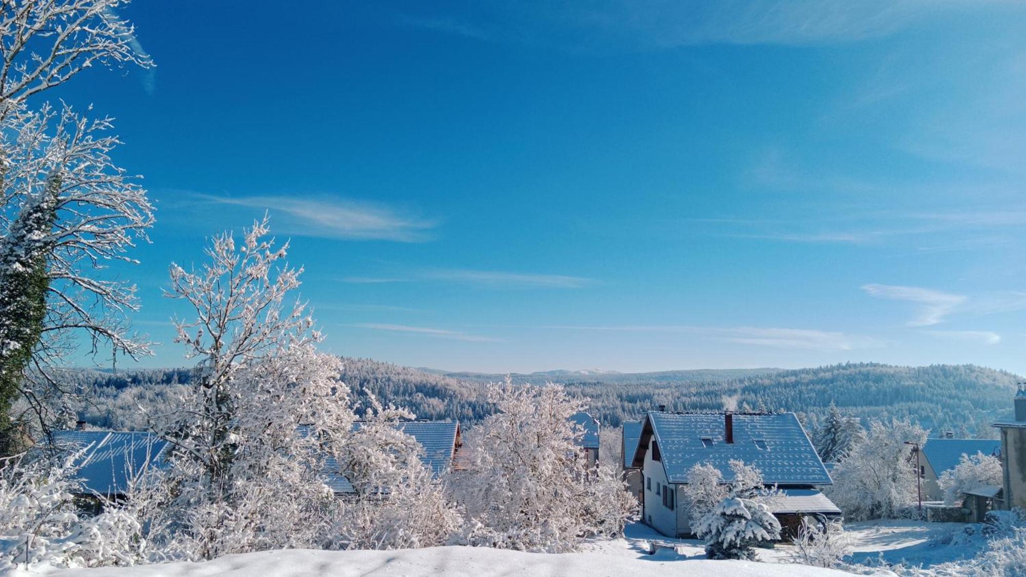 Gite Des Roches La Chaux-du-Dombief 外观 照片